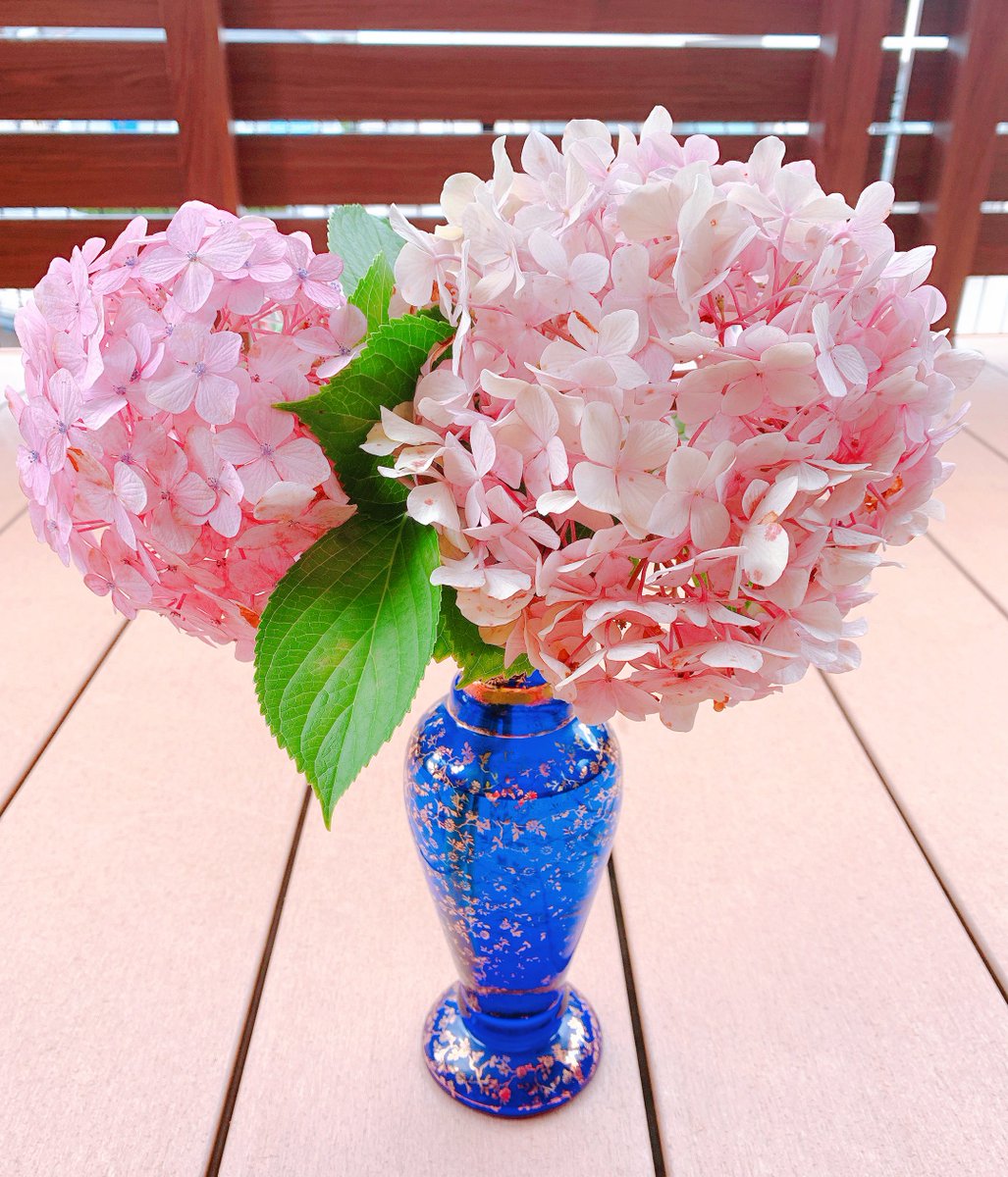 るいぞう 教えてもらった通り 水切り をしたら全くしなってない 花の茎を 毎日 水中で 斜めに 素早く切る これで花 が長持ちします 水切り水揚げとか知らなかった 水増しはよく知ってるけど使えない 余計な知識しかなかった るいぞう 教えてもらった通り 水切り をしたら全くしなってない 花の茎を 毎日 水中で 斜めに 素早く切る これで花 が長持ちします 水切り水揚げとか知らなかった 水増しはよく知ってるけど使えない 余計な知識しかなかった