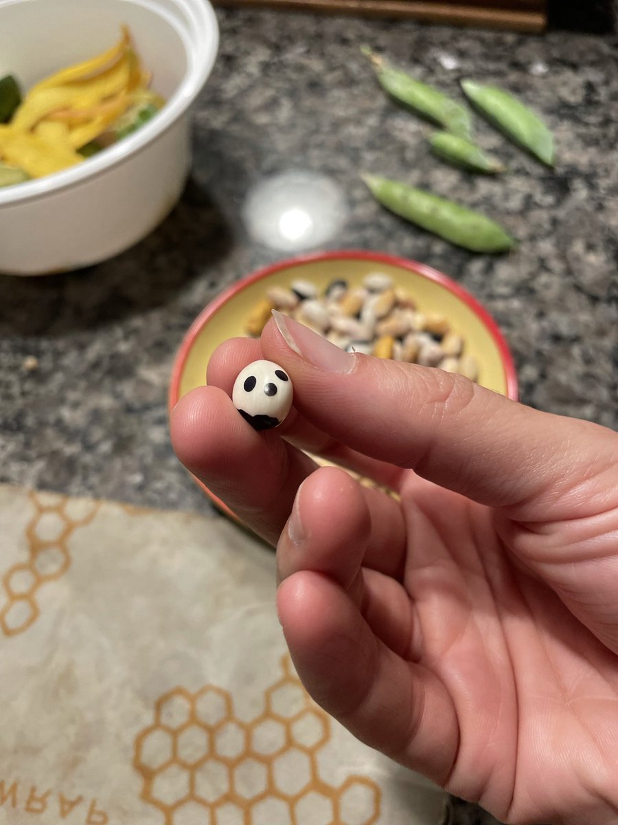 panda bean