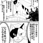 そうだったら面白い。新宿駅前の巨大猫「３Ｄモニタの納品が間に合わなくて本物の巨大猫が入っている」