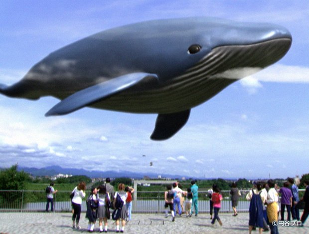 飛ぶ鯨 本日18時より配信❗ 『#ウルトラマンコスモス』第16話「飛ぶクジラ