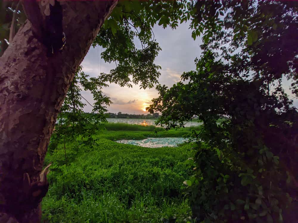 manab_dhank's tweet photo. Theme: Beauty of Nature.
Photography at home by selecting a particular theme by Manab Dhank.
#MAR
#MAR_ACTIVITY https://t.co/seCvkOxdxm