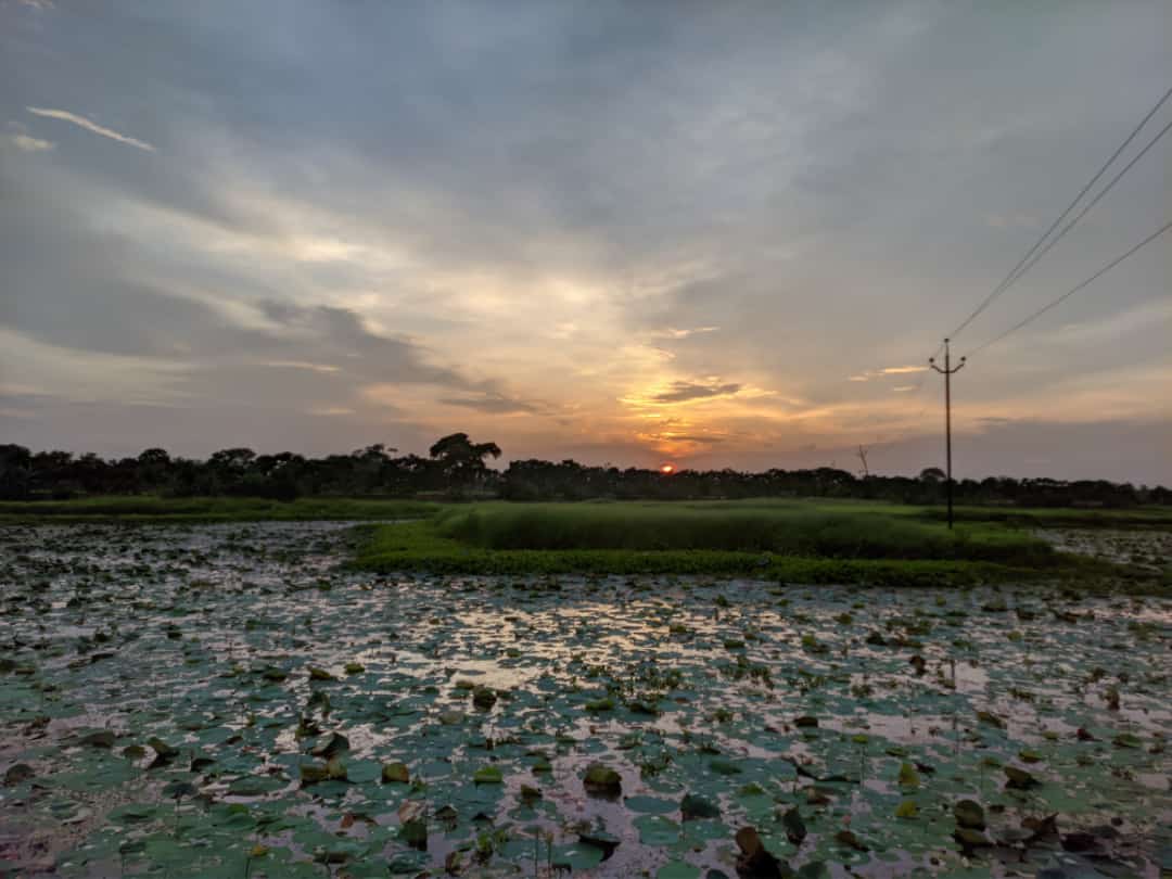 manab_dhank's tweet photo. Theme: Beauty of Nature.
Photography at home by selecting a particular theme by Manab Dhank.
#MAR
#MAR_ACTIVITY https://t.co/seCvkOxdxm