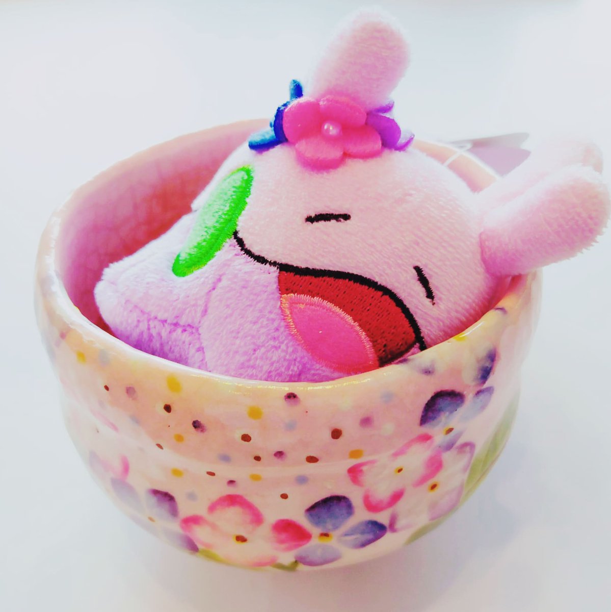 ぶるちゃん ヌメラママ ヌメラちゃん育児中 Buruchan Bake טוויטר ぶるちゃん ヌメラママ ヌメラちゃん育児中 Buruchan Bake טוויטר