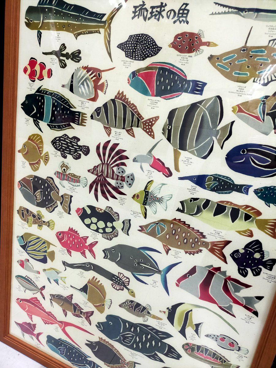 紅型工房べにきち」さんより発売された 【琉球の魚】【琉球の鳥