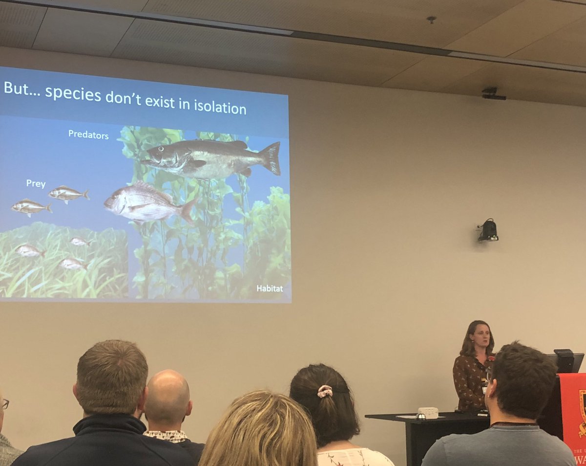 Awesome talk from <a href="/Dralicerogers/">Alice Rogers</a> about using Mizer size based models and the benefits over more complicated ecosystem based models! @NZMarineSociety <a href="/MEEMLab_NZ/">VUW Marine Ecology and Ecosystem Modelling Lab</a>