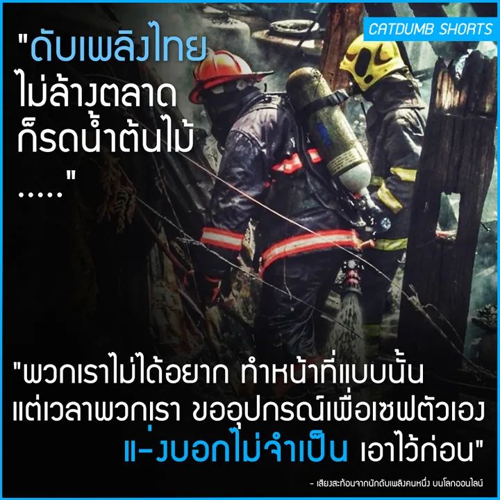 หมกมุ่นในดงวาย tweet media