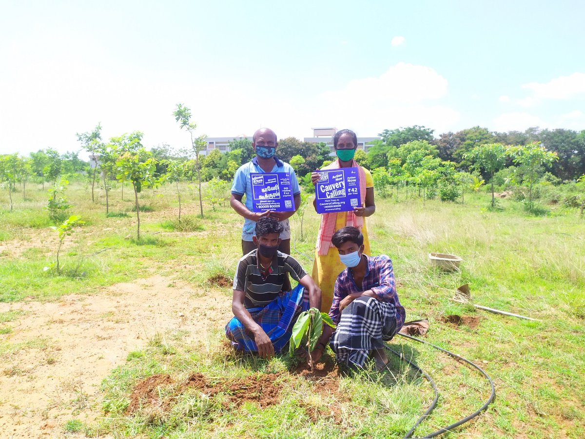 ishafoundation's tweet photo. Farmers are planting 25K saplings in 5 Tamil Nadu districts through the #CauveryCalling movement to mark the national annual #VanMahotsav or "Forest Festival," conducted to create eco-awareness among local communities across India in the first week of July.
@rallyforrivers https://t.co/NflK4RxLRY