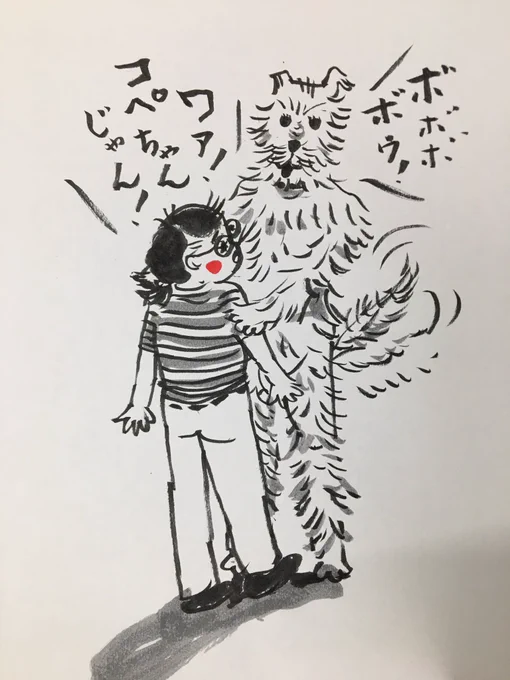 今日の昼休みかっ飛ばし…は、番外編昨日観た夢です。
中二から15年実家に居た雑種犬コペルが「俺は死んでなんかない、ずっと庭にいたよ」って感じ(喋れない)で二足歩行で登場。本当は1m位しか無いのに180㎝位の存在感が有りました。スレっからした心がポワんとなる様な良い夢。アイタイなぁ。 