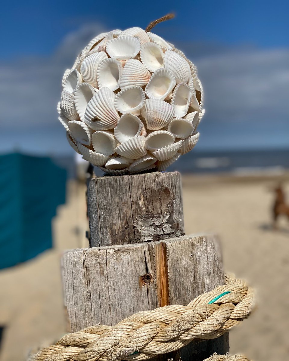 Check onze leuke SCHELPENBOLLEN en schelpenkransen. Nu volop beschikbaar in verschillende maten en uitvoeringen! 
.
#schelpen #schelpenbol #schelpenkrans #shell #conchiglie #muscheln #beachvibes #beachy #beachstyle  #summer #noordwijkaanzee