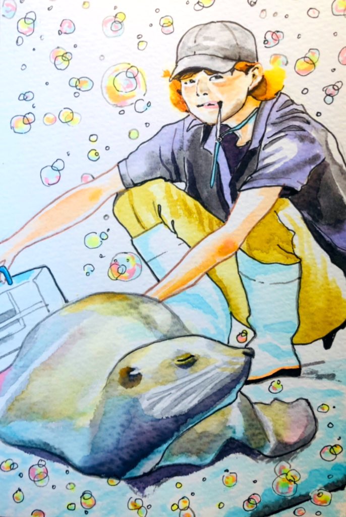 絵描きのゆりんぐ 桂浜水族館の飼育員のサメさんとアシカちゃんの水彩イラストを描いてみました ファン Katurahama Aq 桂浜水族館 サメくん 絵描きさんと繋がりたい 絵描きさんとつながりたい イラスト完成