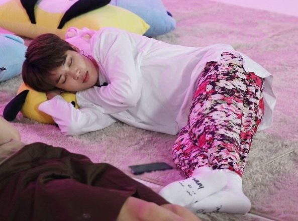 (CLOSED) busan baes 🥕🐾 tweet media