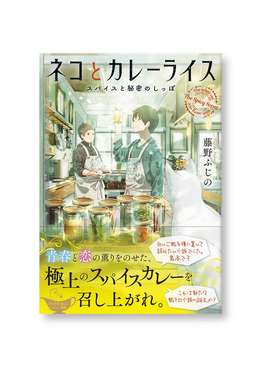 マイクロマガジン社『ネコとカレーライス　スパイスと秘密のしっぽ』（著：藤野ふじのさん、装画：ふすいさん）の装幀を担当いたしました。