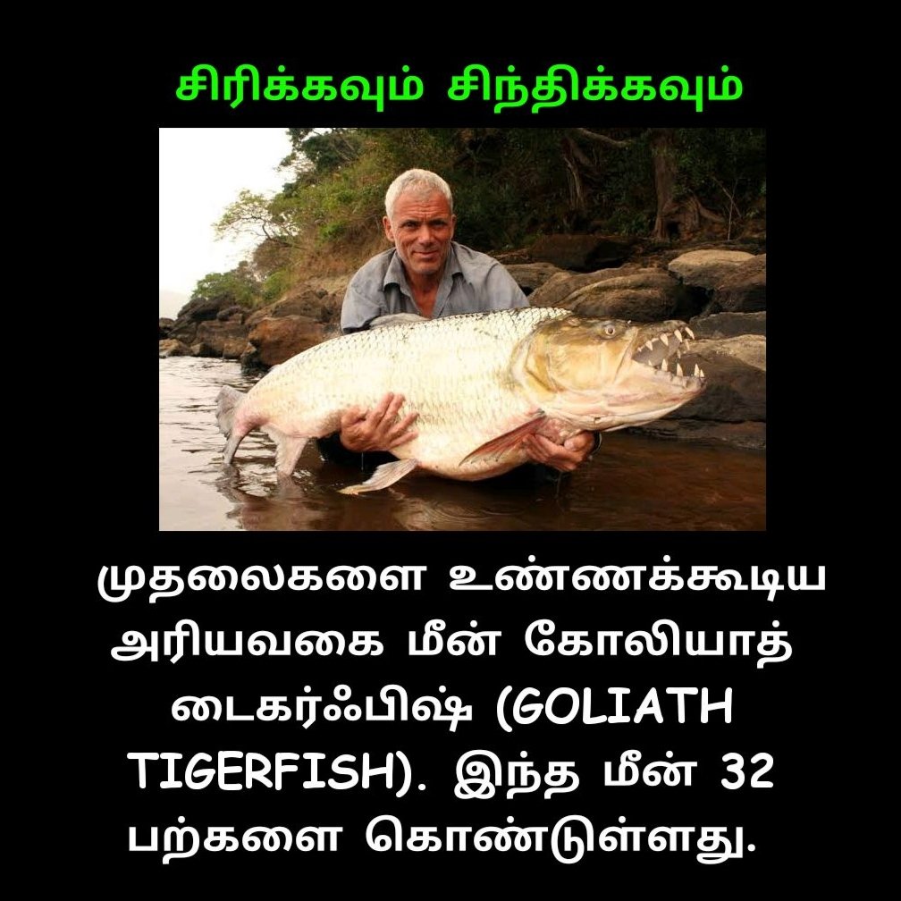 finally_dude's tweet photo. #கவியரசு_பொன்மலர்
#cirikkavumcintikkavum #finallydude #reelsinstagram #dharmapuri #harur #pappireddipatti #dailynews https://t.co/QlfwSB2LDa