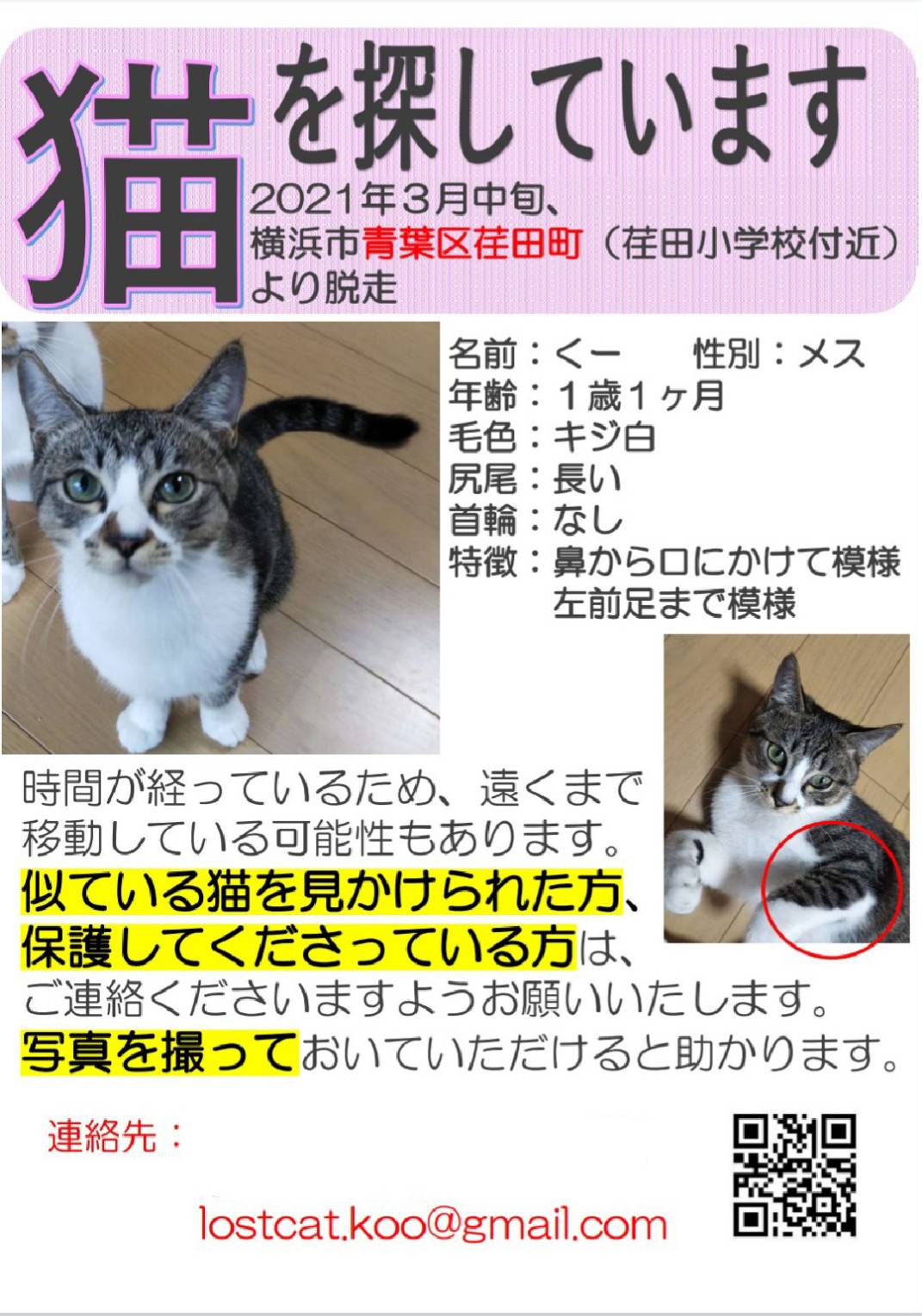 تويتر 白キジくーちゃん探してます 横浜都筑青葉 على تويتر 猫探してます 白キジ くーちゃん 見つかりません 名前 くー 仮名 ゆず 性別 メス 毛色 白キジ キジ白 性格 とても人懐っこく可愛い 特徴 口と鼻 左前足のキジ柄 どんな些細なことでも構いません