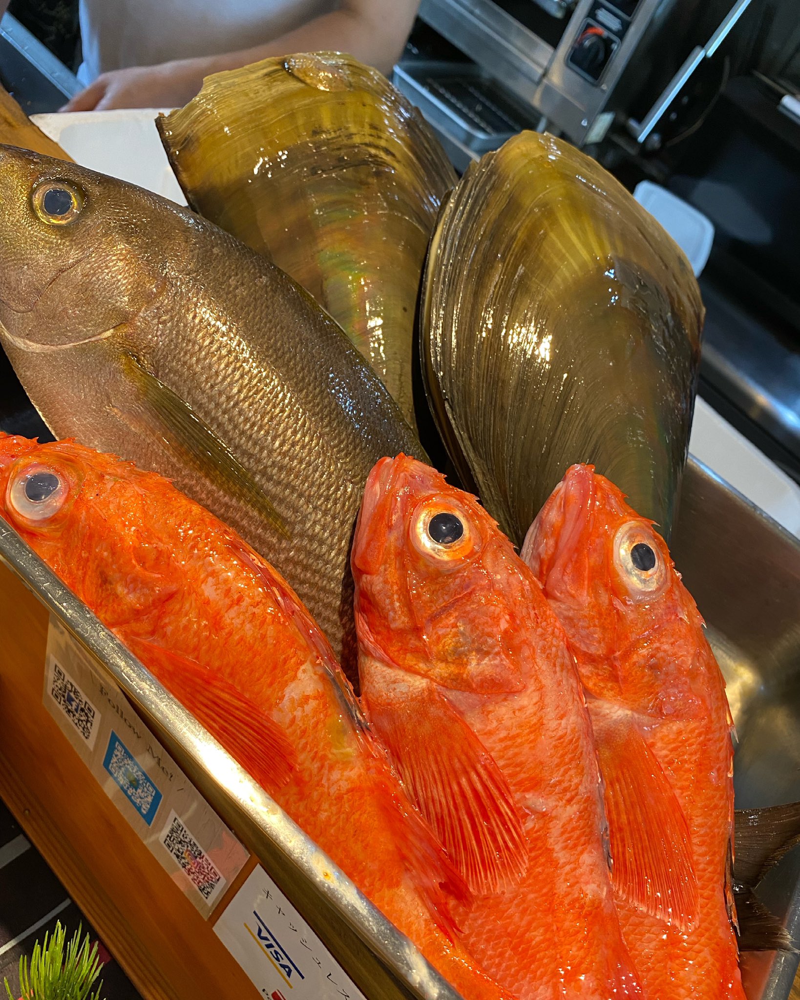 旬菜旬肴 和のか キンキ イサキ 平貝 入荷しました 今週もよろしくお願い致します 和のか 旬菜旬肴和のか 千葉駅和食 千葉中央駅和食 裏千葉 海鮮 鮮魚 日本料理店