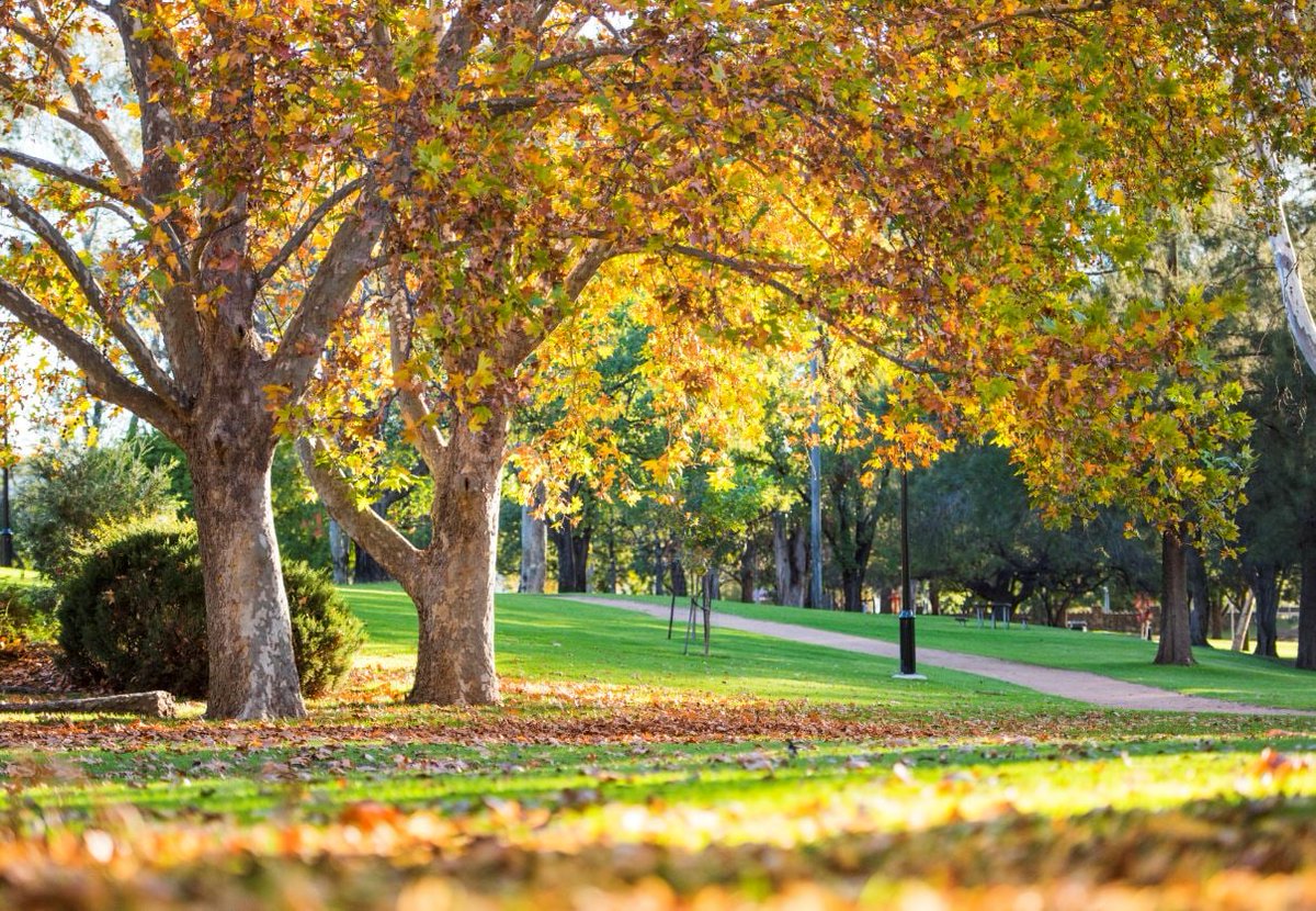 Feel the love in your own backyard + support local businesses these school holidays across our wonderful region by ticking off a few local bucket list experiences 🎨Check out our school holiday guide here- bit.ly/3hDfTKz 💖