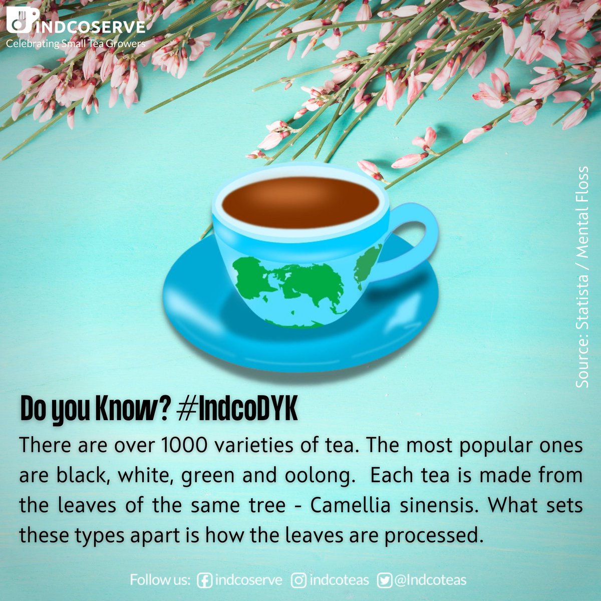 IndcoTeas's tweet photo. There is a tea for every person, for every season and every reason! ☕️✅

Which is your favourite type/flavour/variety of tea?😃

#Varietea #Infinitea #IndcoTeas #Tea #CelebratingSmallTeaGrowers https://t.co/u7HBARcYGY