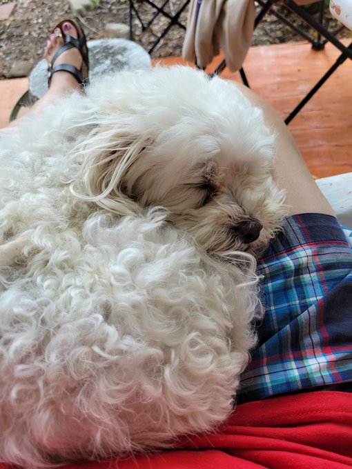 My Duffy active as always https://t.co/P2fv3edTQd