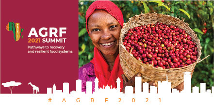 TheAGRF's tweet image. ONE DAY TO GO! #AGRF2021 launches tomorrow, 7 July 2021. 

The theme for the #AGRF2021 summit is #PathwaysToRecovery and #ResilientFoodSystems. 

Register here 👉 bit.ly/2UWfVWb to book your slot at the launch event!