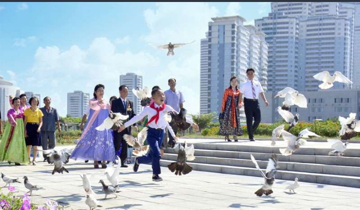 EthiopiaKfa's tweet photo. Korea is the safest country in the World and you don't have to look at your back when walking anywhere.

⬇⬇⬇⬇⬇⬇⬇⬇🇰🇵💕💕💕💕💕⬇⬇⬇⬇⬇⬇⬇⬇ https://t.co/lqrKUxX7cP