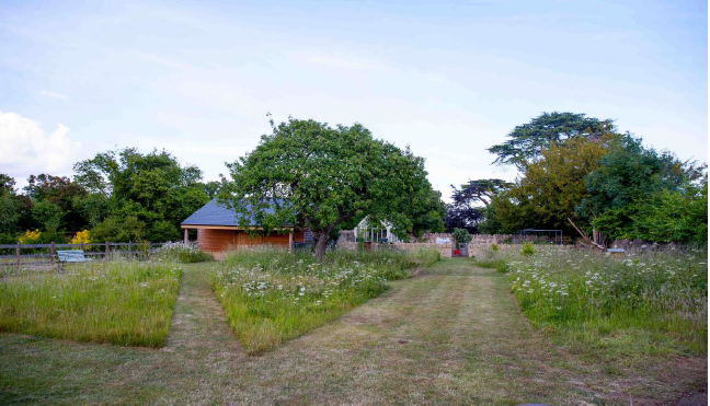 NEThamesSolent's tweet photo. #NRN #CommunityActionGroup in the #UpperThames Villages are taking action for #NatureRecovery, using local experts to train #volunteers in #wildlife id, recording, #wildflower propagation, and supporting through online workshops.
https://t.co/iJL7gd8uFW https://t.co/NG2TXz4p3H