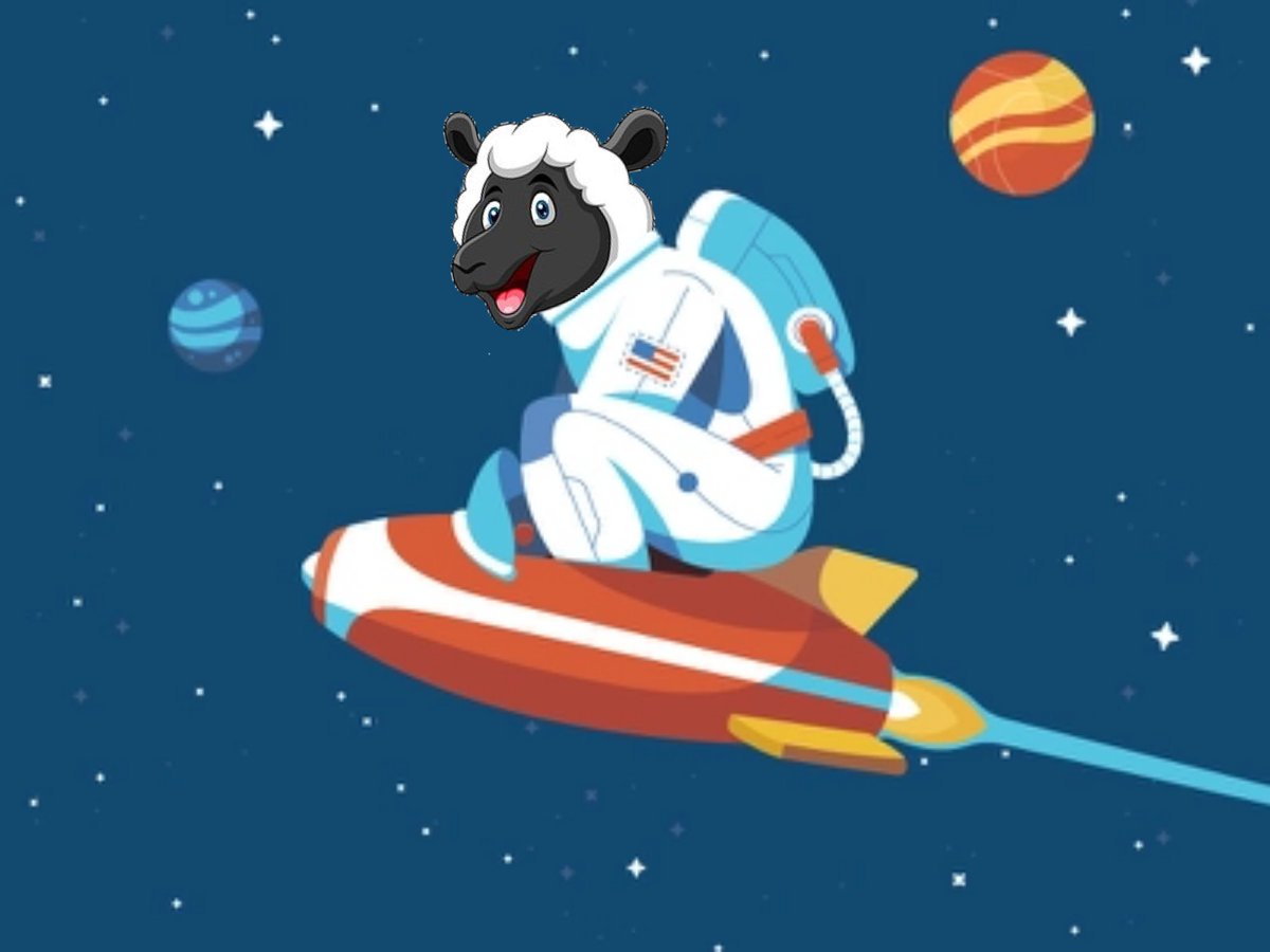 Nenobriedis's tweet photo. Can we get some #BitSheep #RETWEEET 🚀🌑🐏 #helpushelpyou #RetweeetPlease #dogecoin #dogearmy #dogefam #BitSheepArmy #BitSheepCommunity https://t.co/FNIu8ArsyP