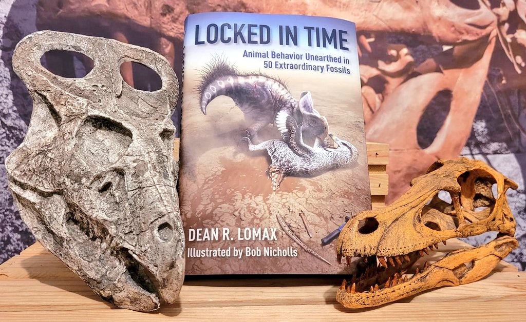 ⚡BOOK GIVEAWAY! Your chance to WIN a free, signed and dedicated copy of my latest book, “Locked in Time”, illustrated by @Paleocreations!

To enter: 1) like, 2) retweet, and 3) comment on this post.

The winner will be chosen at random this #FossilFriday

Good luck!🦕🦣