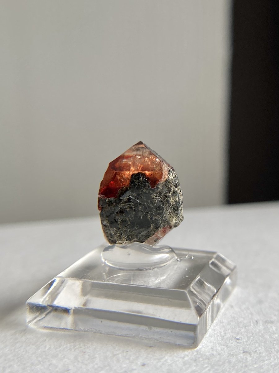 ぷー✹ストン tweet media