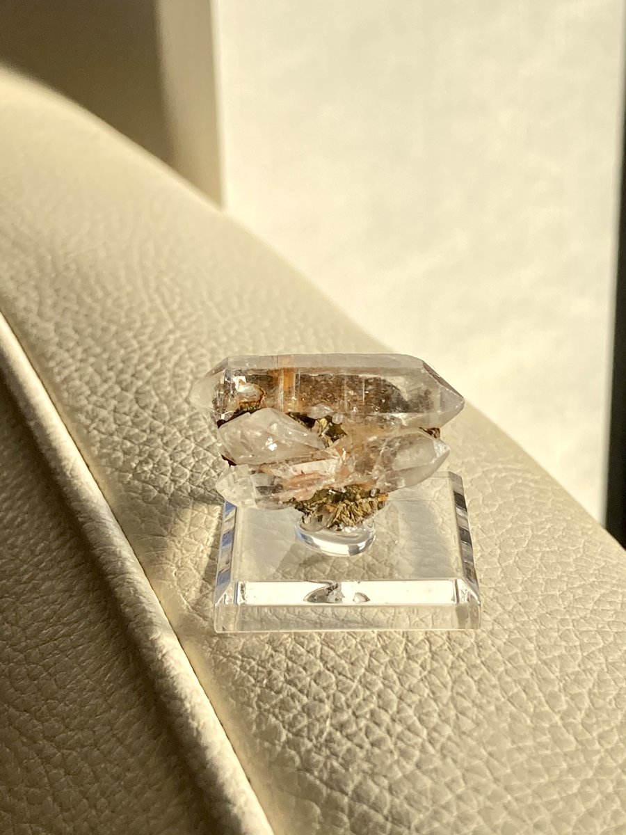 ぷー✹ストン tweet media