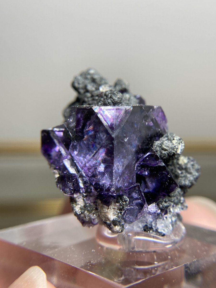 ぷー✹ストン tweet media