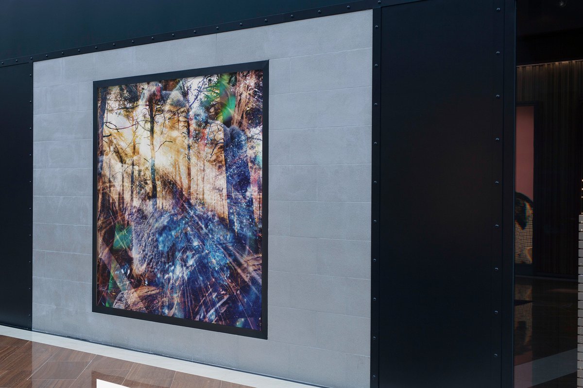 Bellahsoprints's tweet photo. totally looks 3D - which room to hang this in??
https://t.co/wDMuWtrOtR

#NFT #cryptoart #NFTcollectors #NFTcommunity #digitalart #NFTartist #NFTdrops #rareNFT #iconicNFT #canvasNFT #legendaryNFT #beautifulNFT #vintageNFT #historicNFT #mintable  #NFTwhalecommunity https://t.co/ATNKfENJI0