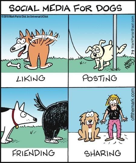 If dogs had social media....😂 😂