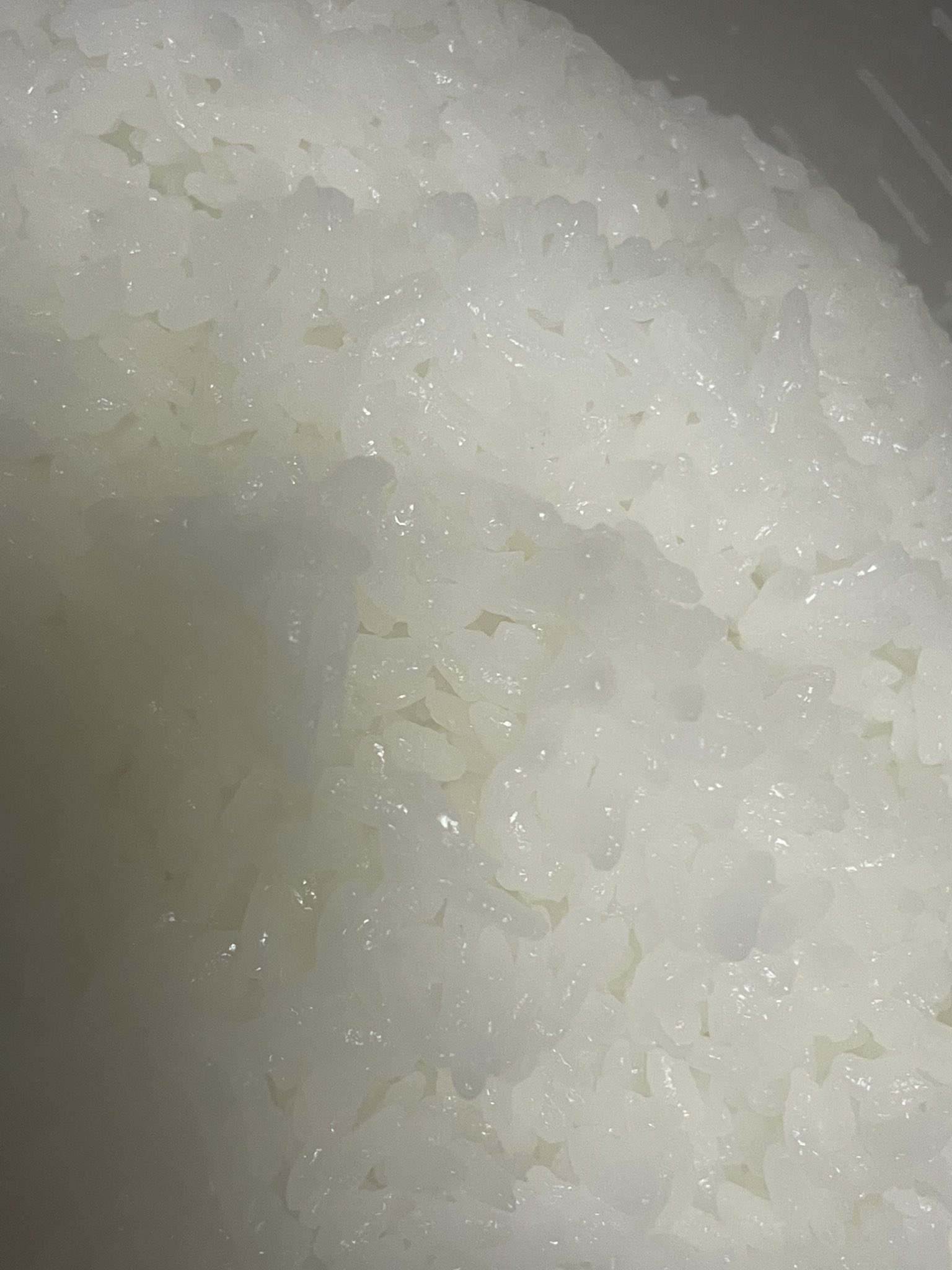 桑名シオン いや もうね 新潟県人なら分かるよねー 初夏の筋子の新子 炊き立てご飯にのせるだけ 生きてて良かった 何十年も買わせて頂いてます 新潟県新発田市大栄町1丁目5 6 株 鈴木商店 大栄町店 筋子 新子 初夏の筋子 新潟の