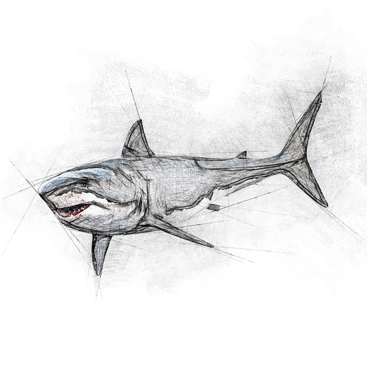 William_Fineart's tweet photo. #Shark, one of the most ferocious predators 😨🦈 
ツ
My friends create #art too: #FiveFriendsArtists https://t.co/x4fhAaIcjt