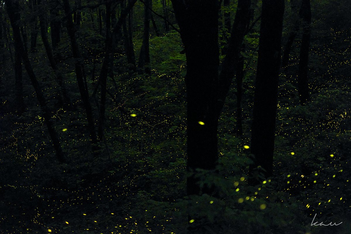 和三盆 Kazu707sanbon Twitter