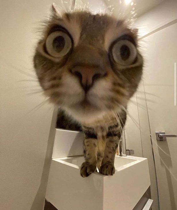 Prismatink Out of Context tweet media