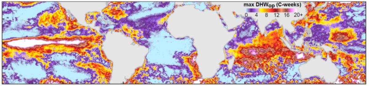 Liam Lachs (@liamlachs) on Twitter photo New insights into coral bleaching and heat stress metrics coming soon.
Delighted to hear our manuscript was finally accepted!
<a href="/Coralassist_Lab/">Coralassist Lab</a>
<a href="/CoralReefWatch/">Coral Reef Watch</a> New insights into coral bleaching and heat stress metrics coming soon.
Delighted to hear our manuscript was finally accepted!
<a href="/Coralassist_Lab/">Coralassist Lab</a>
<a href="/CoralReefWatch/">Coral Reef Watch</a>
