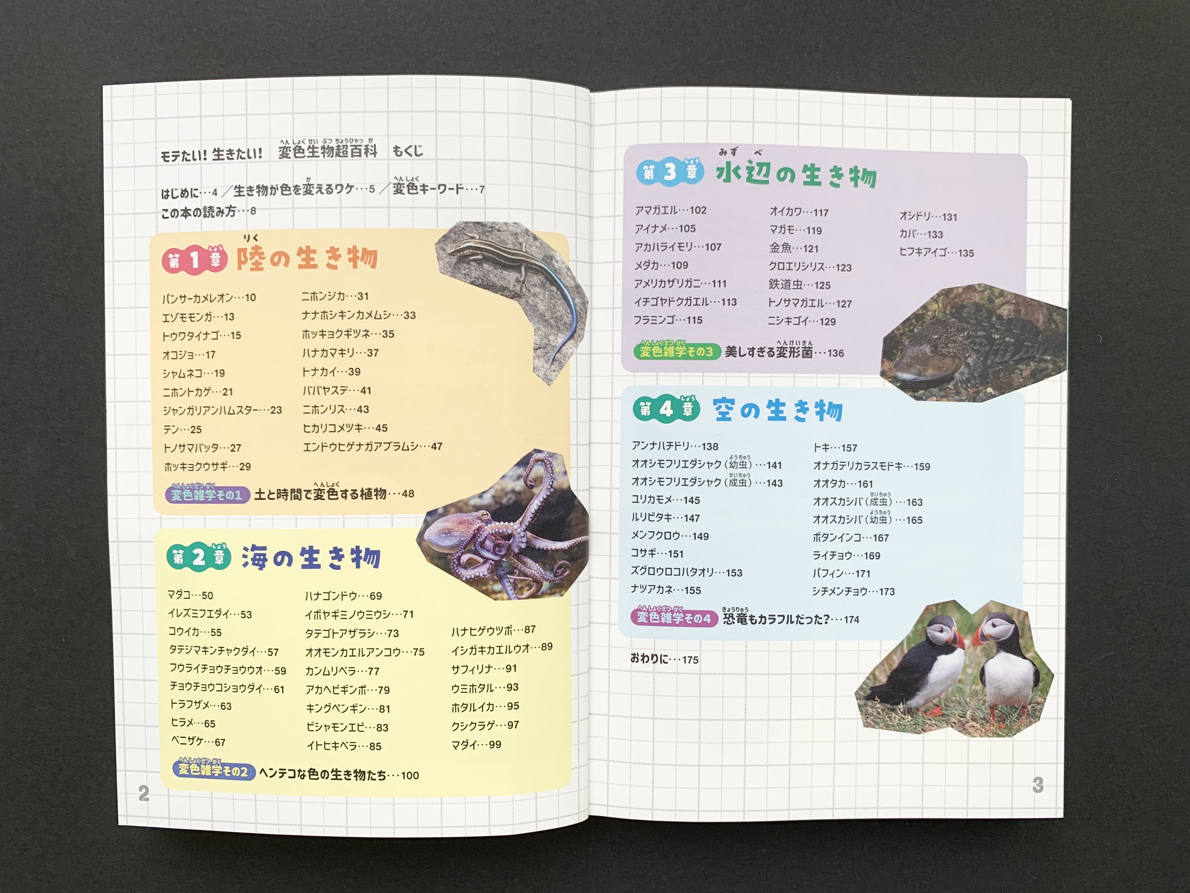 ポプラ社こどもの本編集部 変色生物超百科 を読んだお子さまのママから 身近な生物の変色が特におもしろいようで こんなに色が変わるなんて知らなかった とすごく驚いています 写真を模写するほど夢中です と嬉しい声をいただきました 掲載