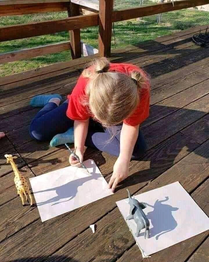 class_369's tweet image. لاتعمل بجد فقط أعمل بذكاء😍