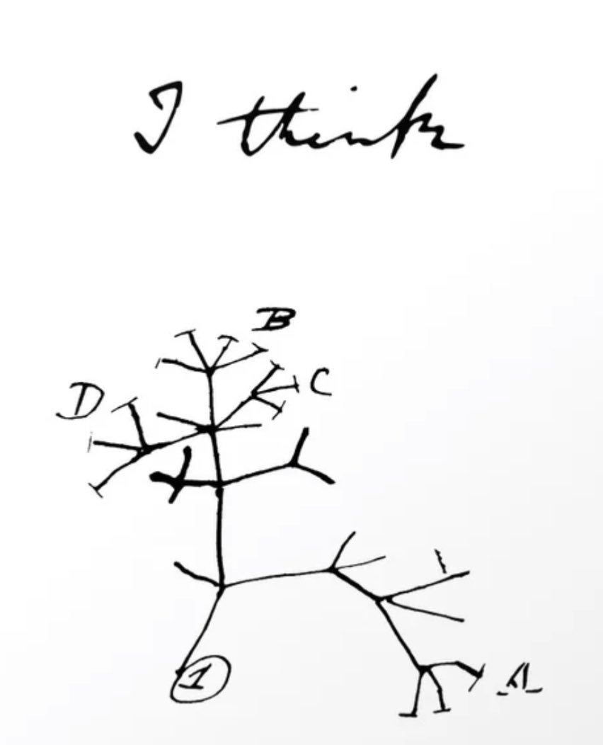 Woke up this morning with a wonderful idea how all the biodiversity we see could be explained by a process I would like to call „evolution“. Maybe life has a single origin (see my sketch). Not sure if I should publish this… What do YOU think? #mybestidea #noplagiarism