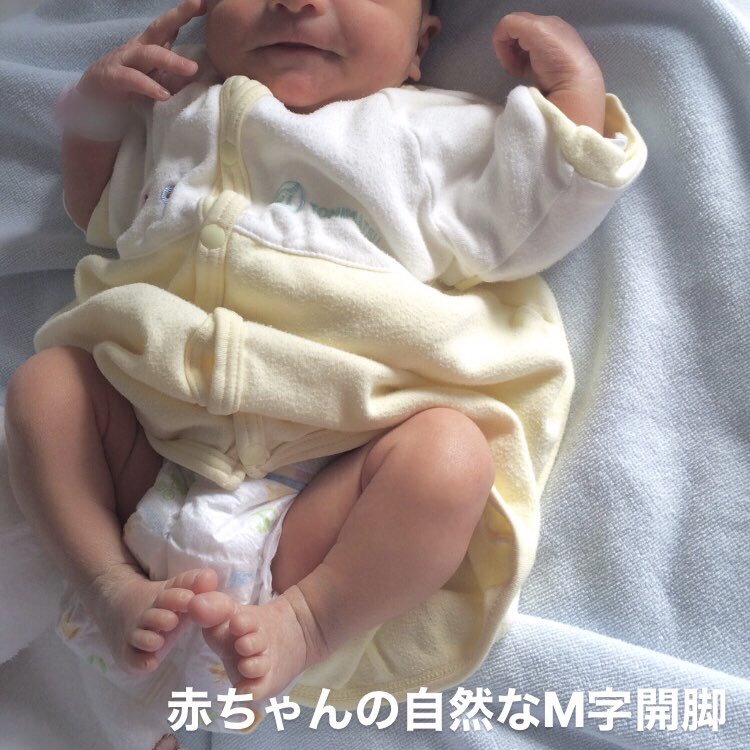 北極しろくま堂 H Shirokumado Twitter 北極しろくま堂 H Shirokumado Twitter
