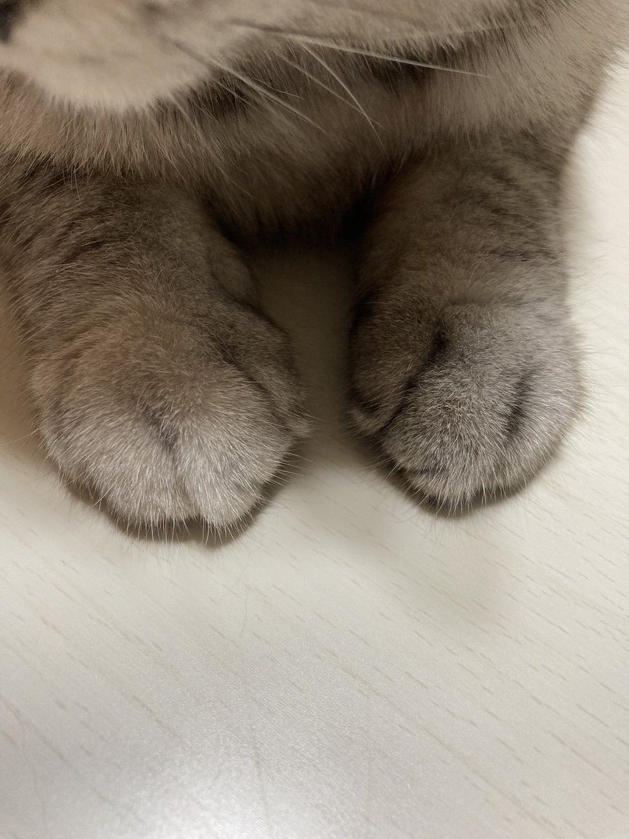 幸せの象徴 幸せの象徴