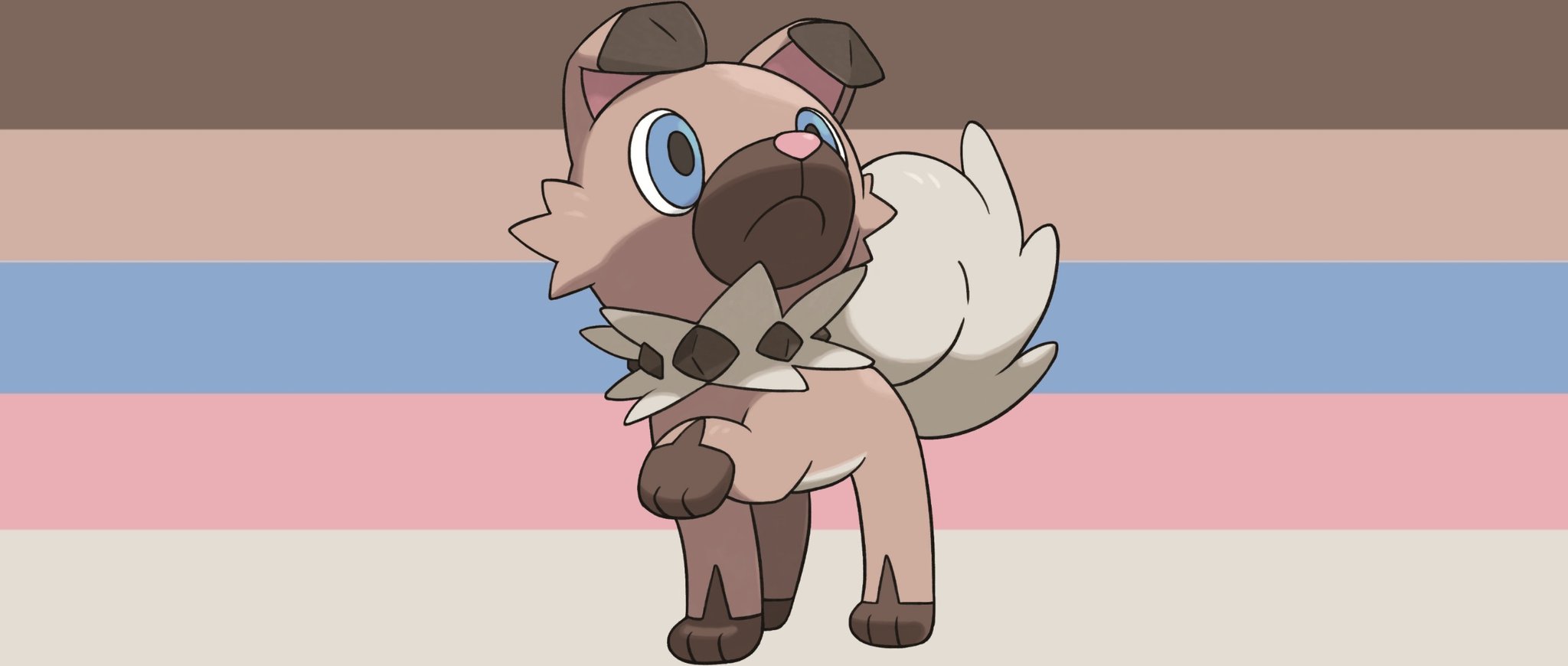 Pokemon Genders Pokegenders Twitter