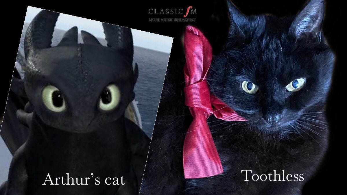 TimLihoreau's tweet photo. A quick and dirty #ClassicalLookalike inspired by this morning’s #SchoolRun music
Arthur’s cat and Toothless the dragon.
@ClassicFM Breakfast
More pet lookalikes gratefully received. https://t.co/EcBe4OZqLd