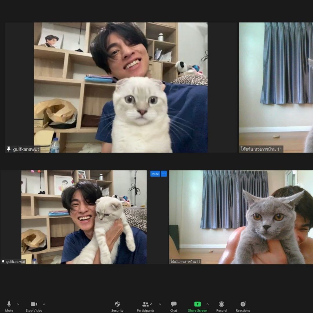 kanasocute's tweet image. ช่วงเวลาอวดแมว ดูหน้าน้อนนนนนนน55555555

#GulfKanawut | @gulfkanawut