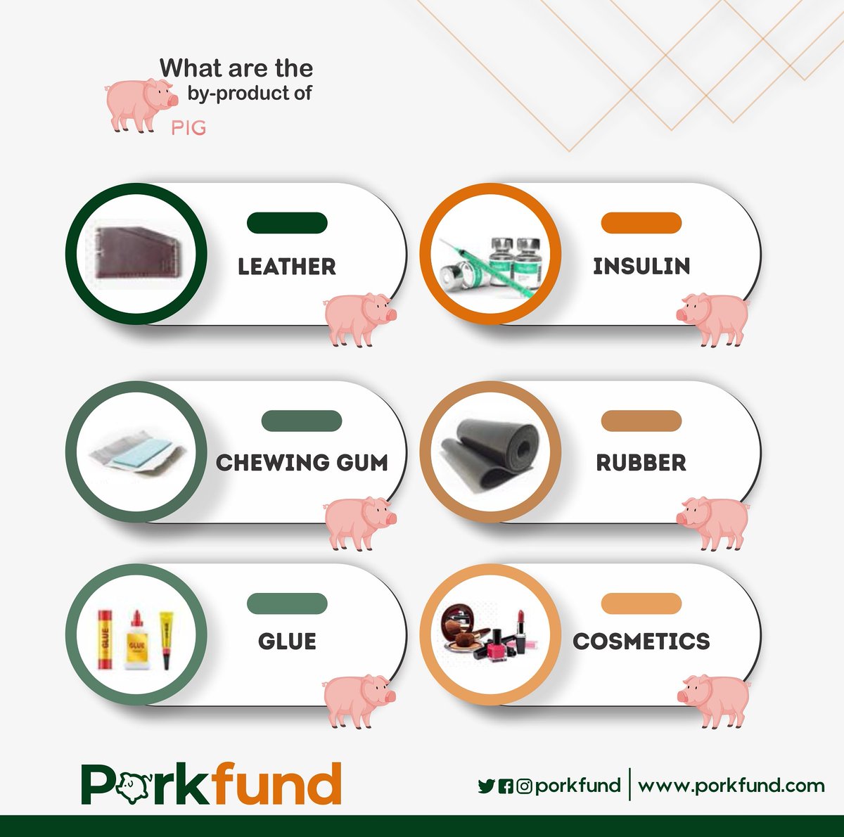 Porkfund's tweet photo. Aside consumption of pork🐷, industrial use of Pigs makes it one of the most resourceful livestock in the world💯 https://t.co/diIcI4hgRd