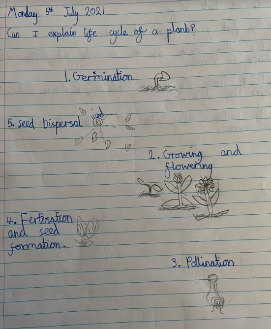y3_bps's tweet photo. 3BG had to draw the Life Cycle of a Plant yesterday as part of their Science unit. Some of the children have sent super work showing they have completed their Science at home! Well done! ๐ฑ๐ณ๐ฐ #homelearningBPS @BirchfieldsPS https://t.co/zlEvLvS0CR