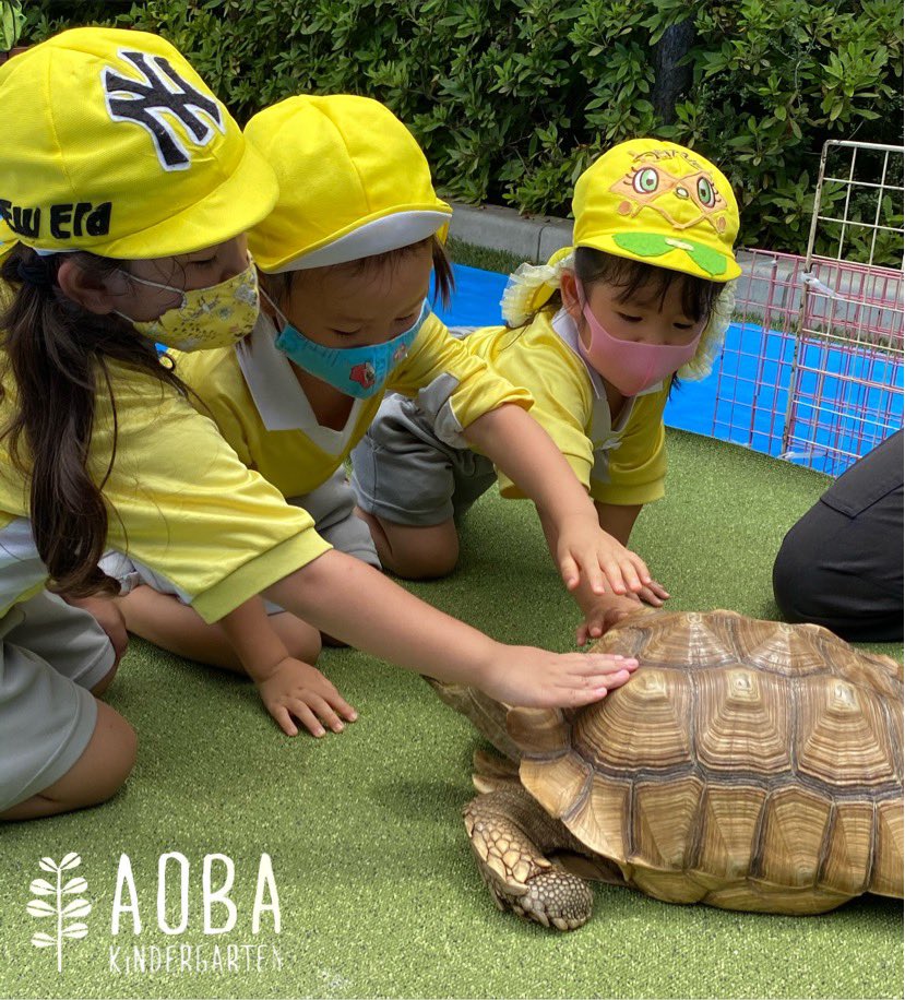 青葉幼稚園 Aobayouchien Twitter 青葉幼稚園 Aobayouchien Twitter