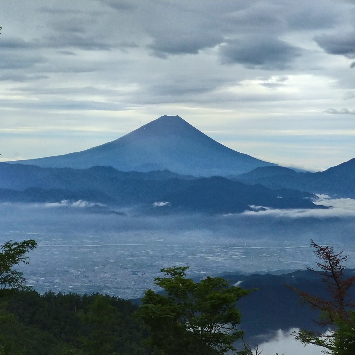 せんてんすくらぶ Sentenceclub1 Twitter