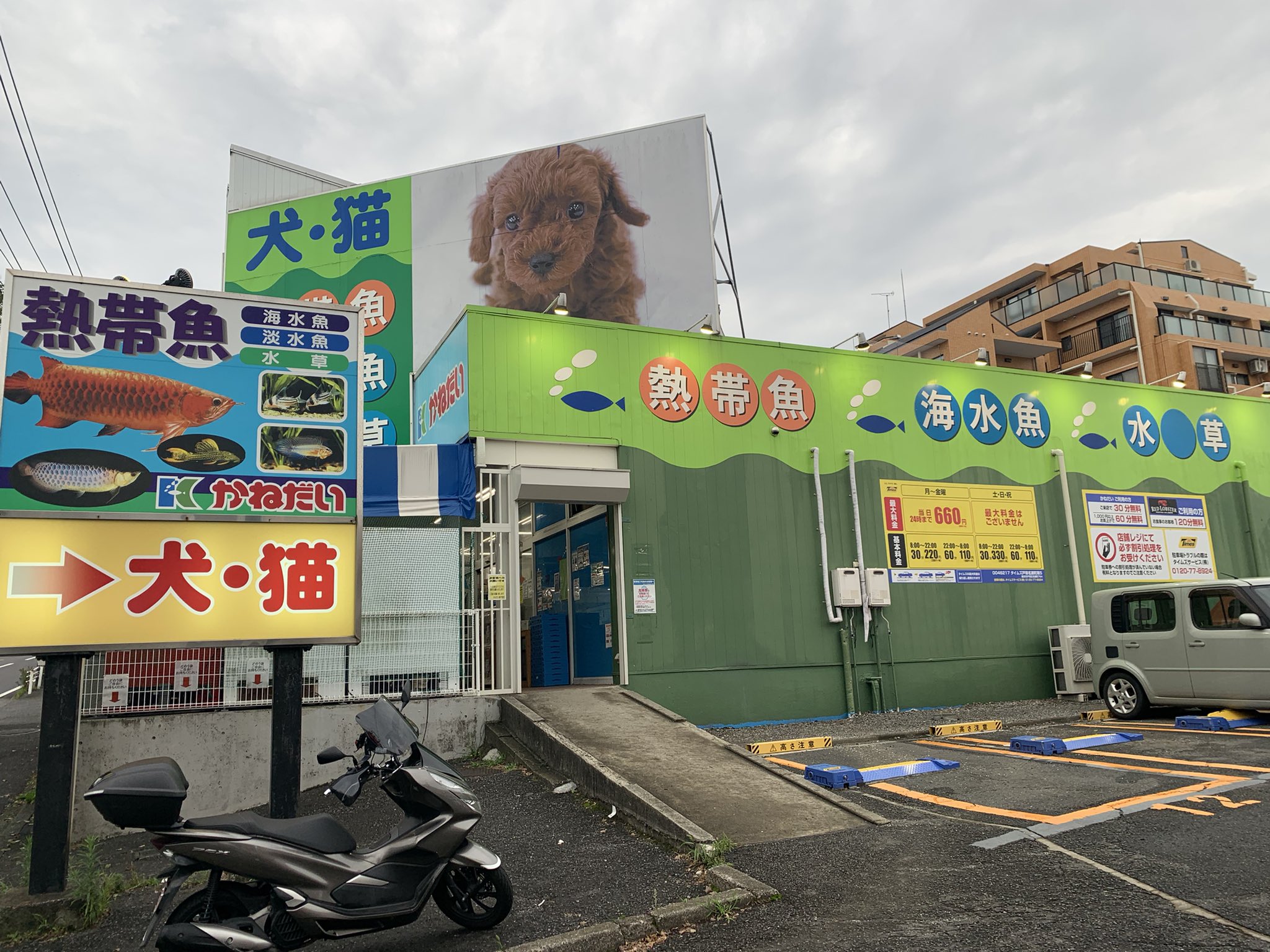 かねだい東戸塚 Twitter Search Twitter